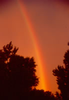 rainbow photo