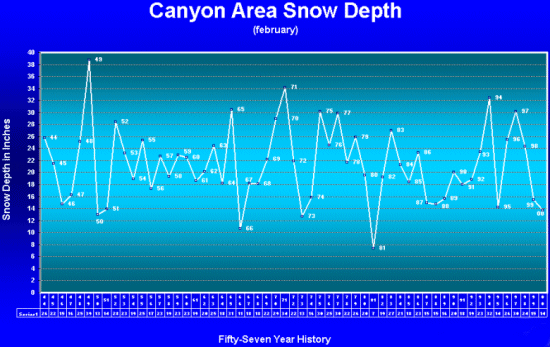 Snow fall chart